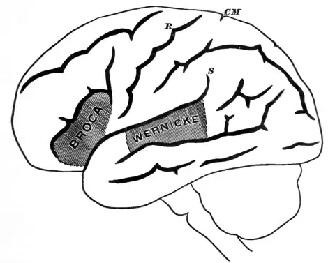 Principles of Psychology (James) v1 p39.png