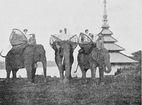 Fig. 36. Forest-working elephants.