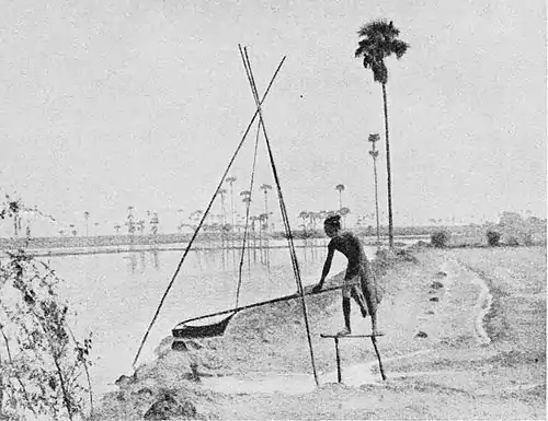 Fig. 57. Irrigation with water scoop.