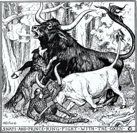 Snati and Prince Ring Fight with the Oxen