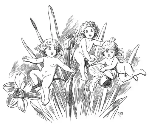 FAIRIES AND JONQUILS