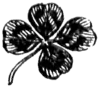 A four-leafed clover