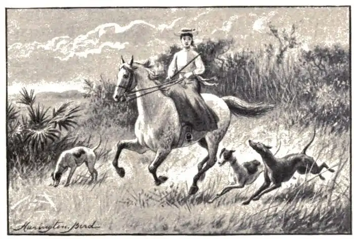 Teenage girl on horseback, accompanied by three dogs.