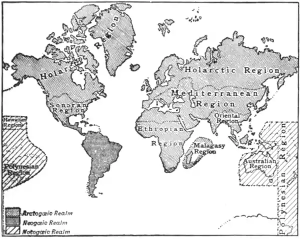 Zoological Distribution map EB1911.png