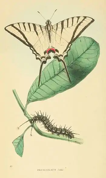 Plate 93.