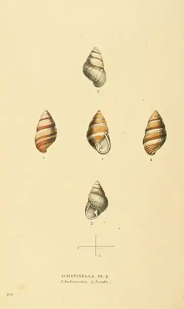 Plate 108.