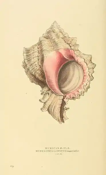 Plate 109.