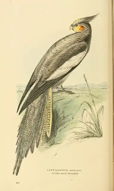 Plate 112.