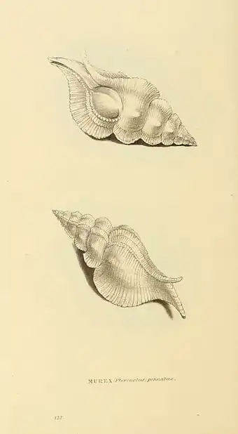 Plate 122.