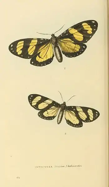 Plate 124.