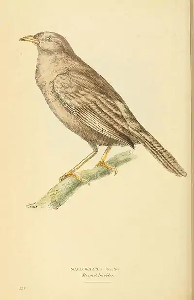 Plate 127.