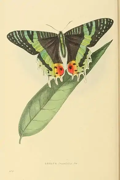 Plate 130.