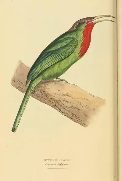 Plate 56.