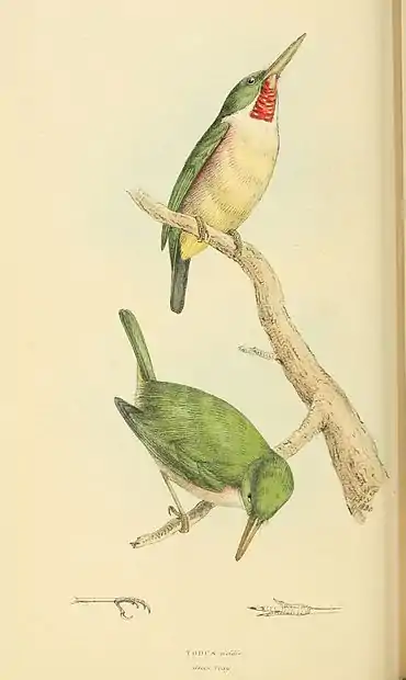 Plate 66.