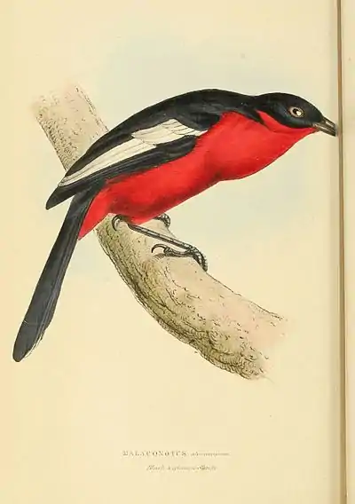 Plate 76.