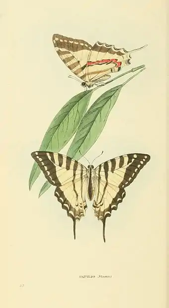 Plate 32.