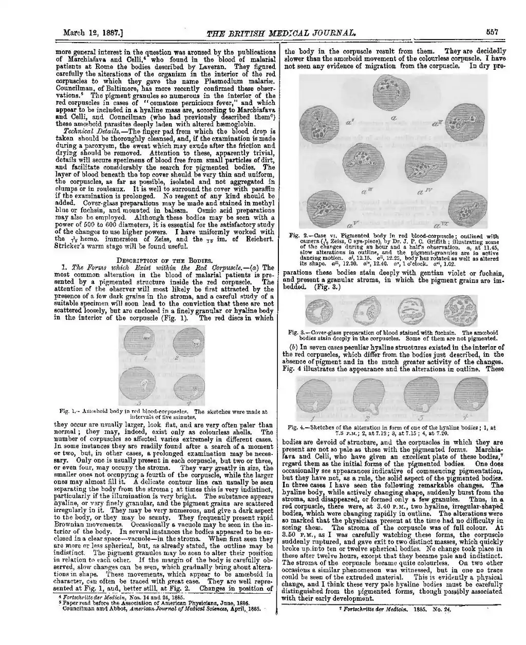 Fig. 1.- Amœboid body in red blood corpuscles. The sketches were made at intervals of five minutes.