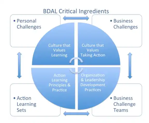 BDAL diagram