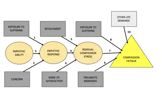 Figure 3 depicts a flowchart process of compassion fatigue