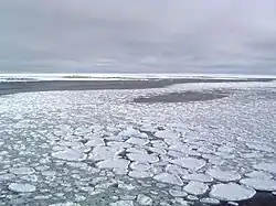 Seaice 04.jpg