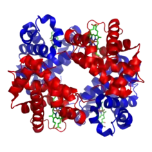 1GZX Haemoglobin.png