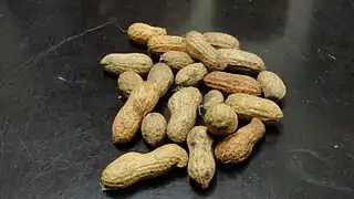 Groundnuts in their skins; Arachis hypogaea; the peanut in the shell