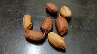 Groundnut pulse with membrane; Arachis hypogaea; the peanut nut with its skin on