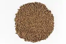 cumin seeds arranged in a circle